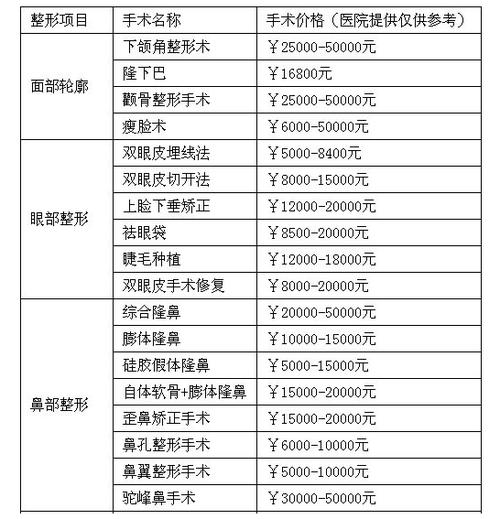 整形手术费用全面解析，究竟要花多少钱？