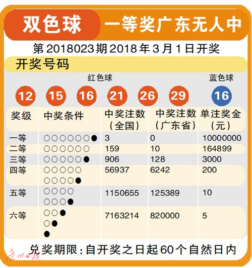 今日3D试机号金码关注，探索数字彩票的新领域