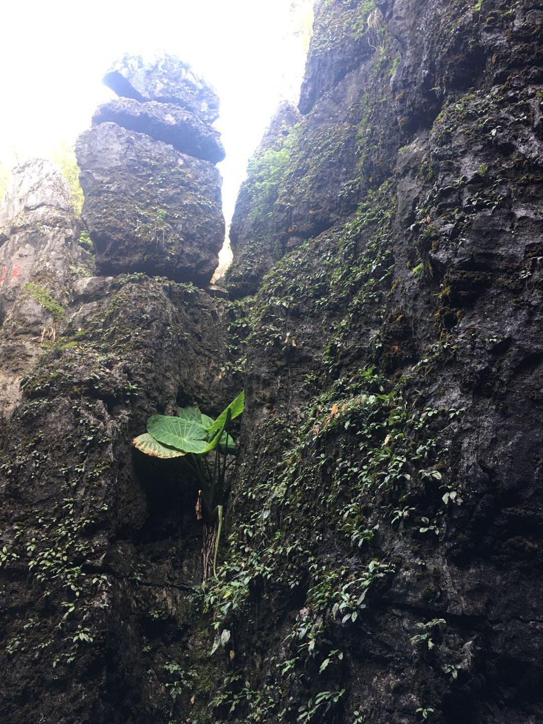 福建体育彩票36选七，探索数字背后的魅力与希望