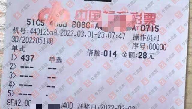 揭秘香港彩票开码结果背后的故事，今日香港开码结果揭晓