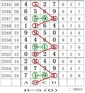 七星彩论坛808网，探索数字世界的奥秘