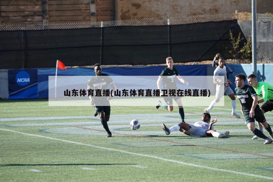 山东体育频道在线直播回看的魅力与便捷性
