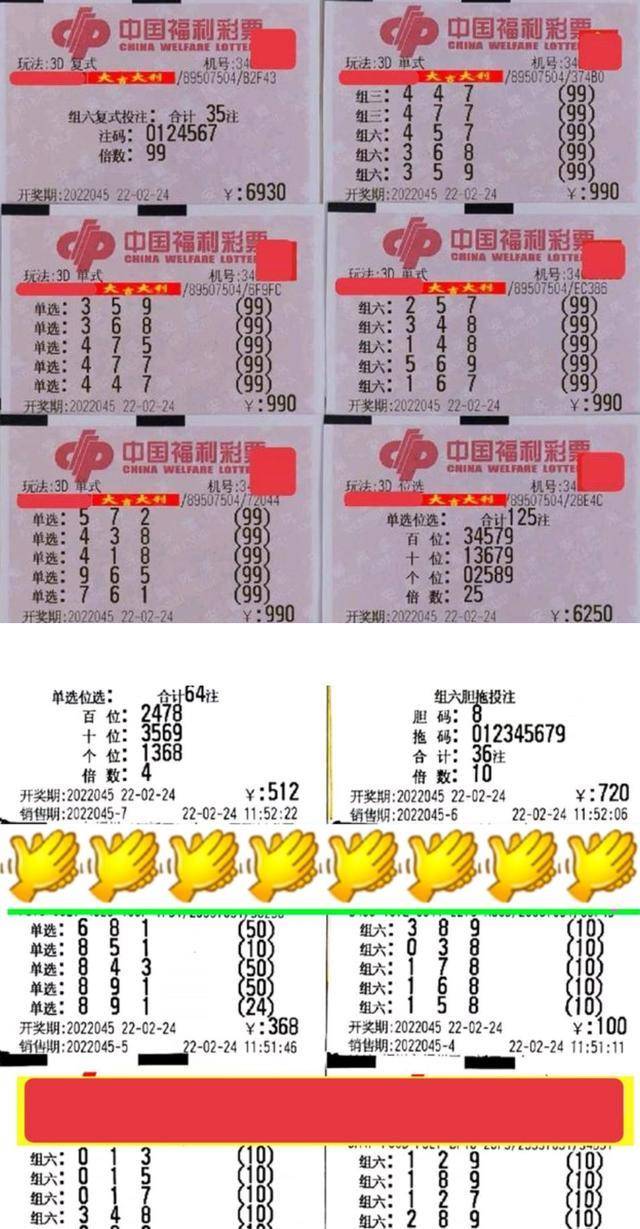 小红孩福彩3D独胆三天计划，揭秘彩票世界的策略与希望