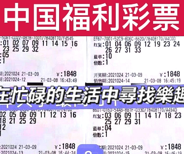 双色球开奖奖结果113，幸运与梦想的交汇点