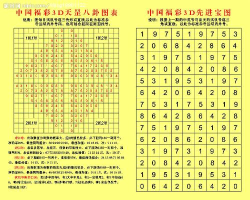 揭秘彩票预测，神奇的数字组合与未来趋势——以号码3D预测号码229为例