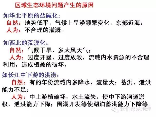 三期必出，持续发展的力量与承诺三期必出三期必出持不