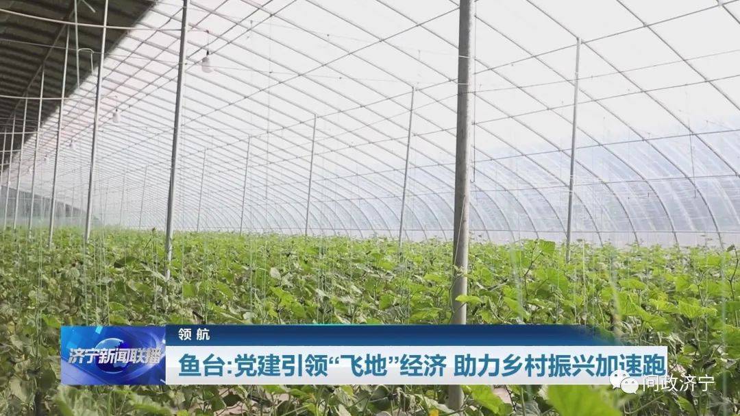 罗源新闻，县域发展的动态与亮点罗源新闻网