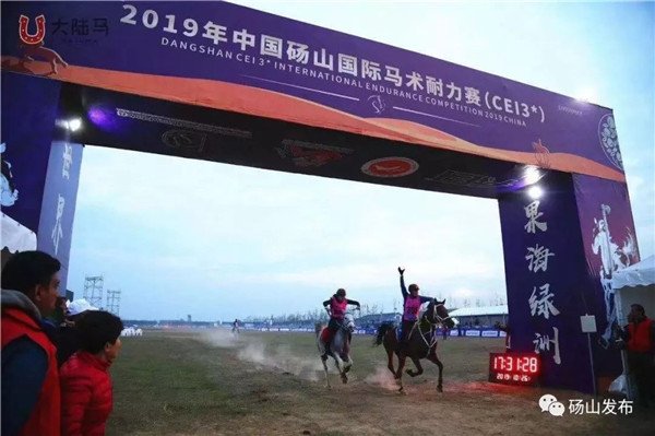 探索马术运动的新纪元，2019年马会正版2019年马会正版全年免费资科
