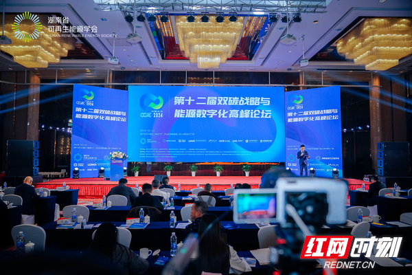 江西泰和在线论坛，地方话语权的数字化舞台江西泰和在线论坛崛起