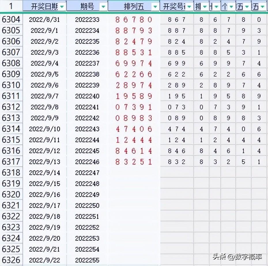 全年开奖记录，探索与解析全年开奖记录表