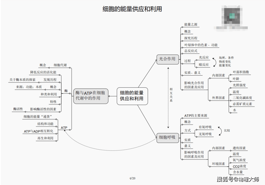 三期内必出