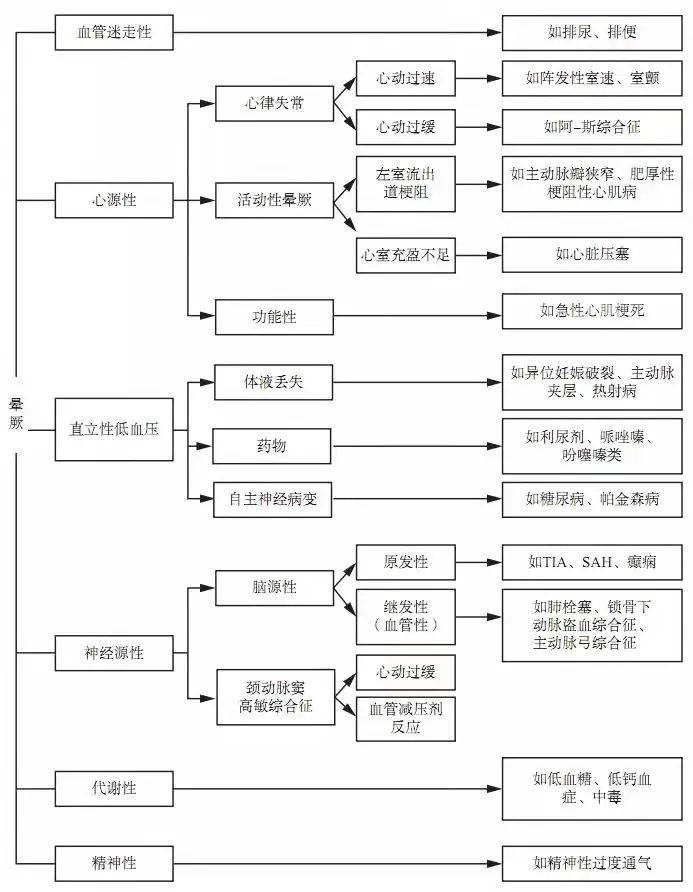 秘密与魅力探索