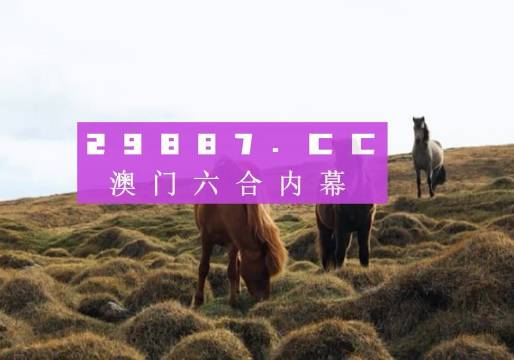 蓝月亮246精选大全