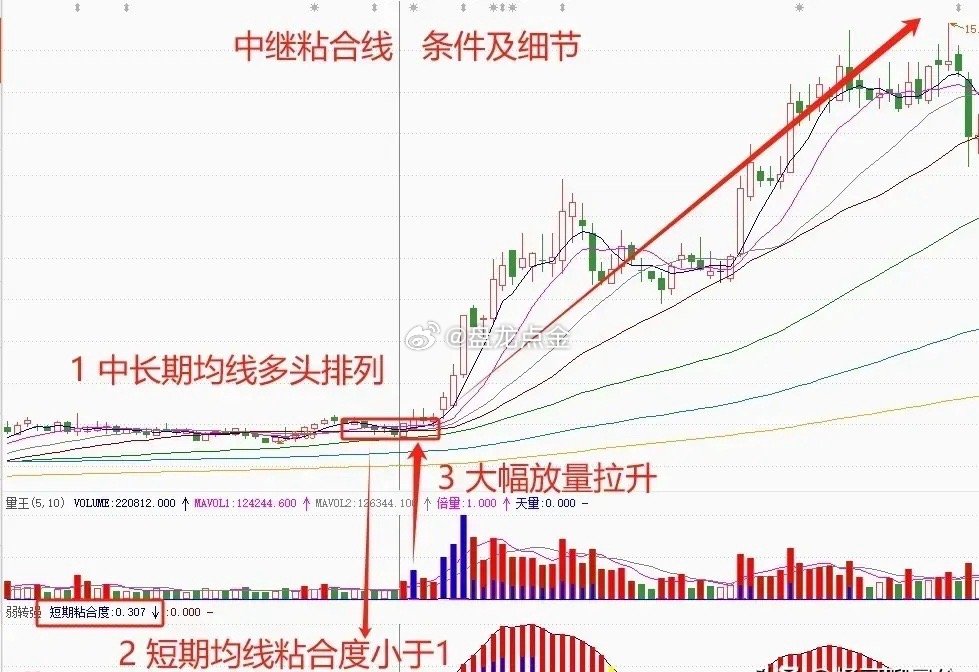 一肖一码中的持有之道，深度探索与理解一肖一码中持一一肖一码