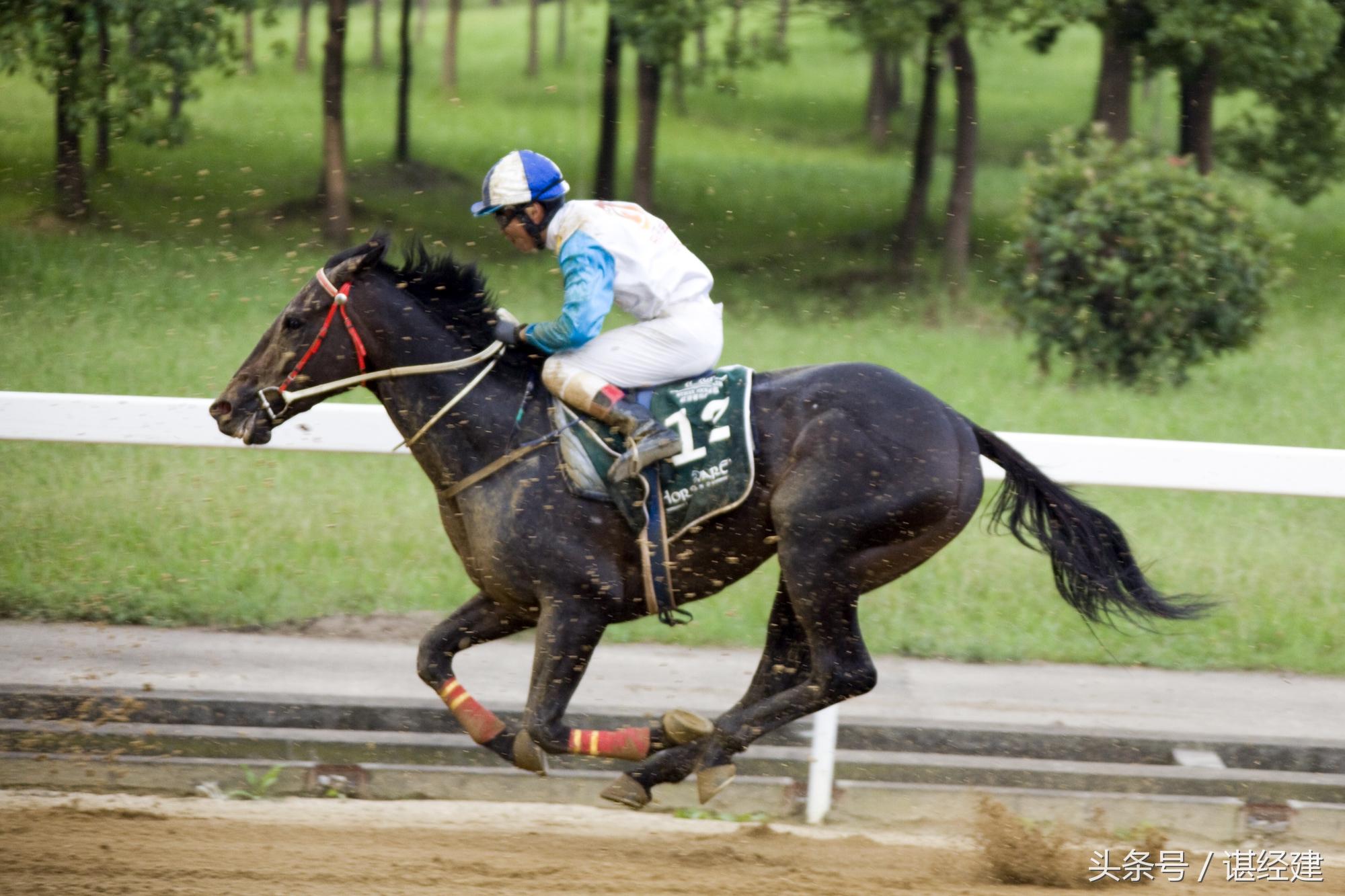 探索香港马会内部资料，揭秘赛马世界的秘密（2021年免费版）香港马资料大全2019