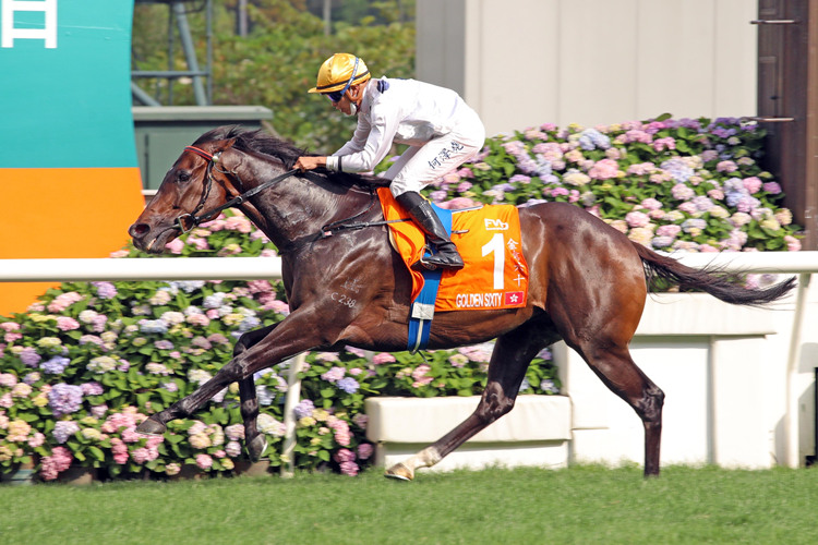 香港马会全年资料大全，探索赛马运动的魅力与数据香港2021年马会资料大全