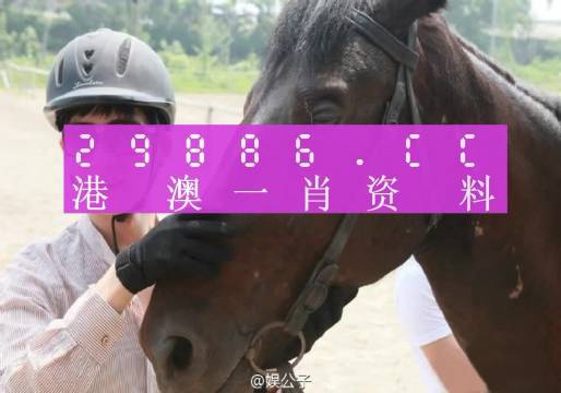 今晚澳门一肖一码必中肖，揭秘幸运之门背后的秘密今晚澳门一肖一码必中肖防城港
