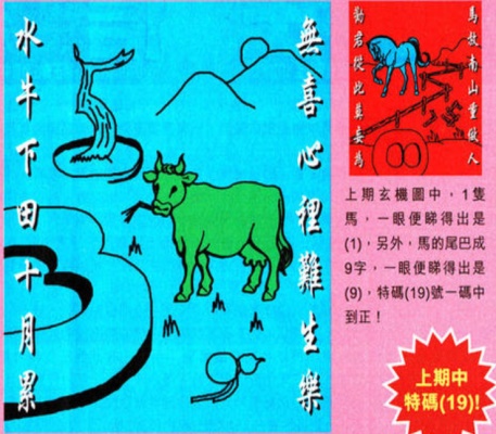 探索与精选，118图库管家婆的独特魅力118图库管家婆精选8