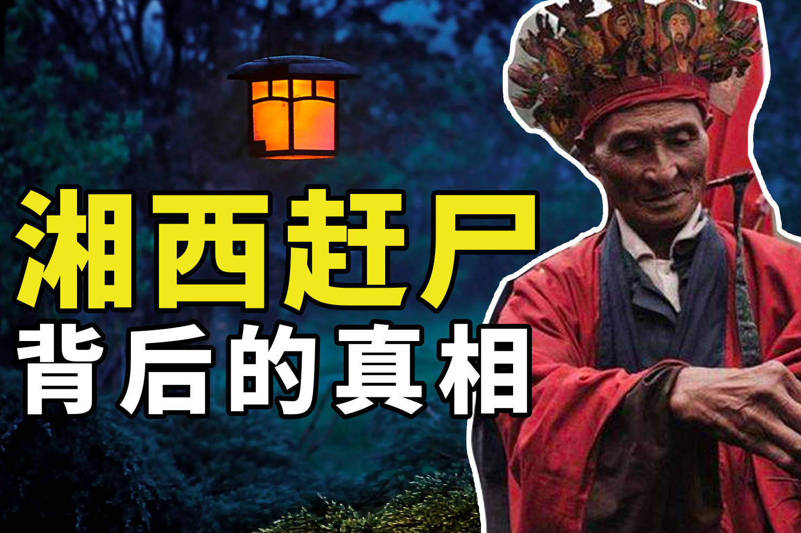 揭秘2024年管家婆一肖一特，神秘预测背后的真相管家婆1肖中特