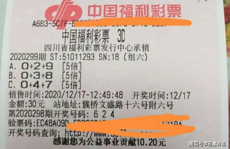 新澳门天天开彩免费查询，探索彩票的乐趣与未来展望2025新澳门天天免费精准