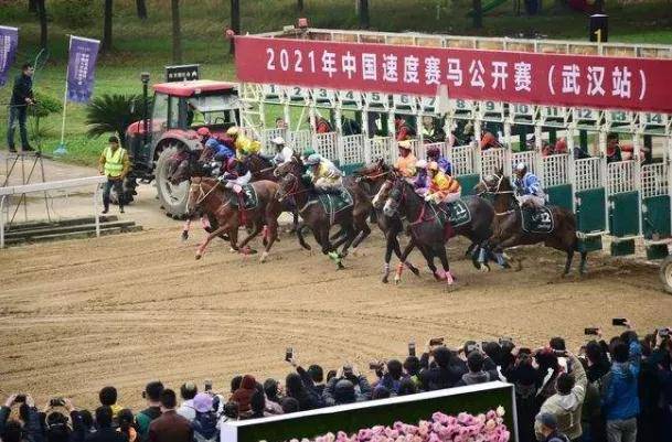 香港赛马文化，探索赛马世界的魅力今天香港开什么特马人民日报任平文章