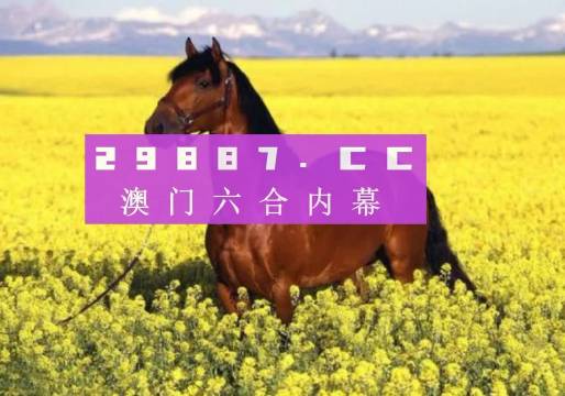 澳门2023精准资料全年免费，探索与发现澳门2023精准资料全年免费酷知