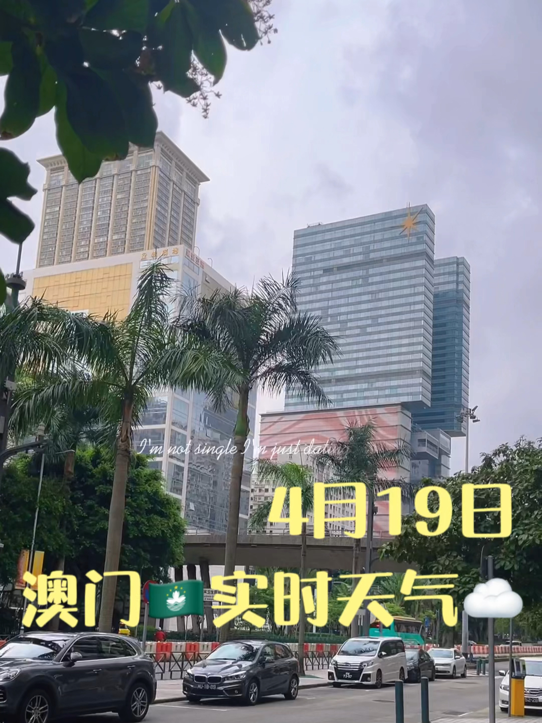 澳门六月天气预报实况视频，下载与安装全攻略澳门6月天气预报实况视频全部下载安装手机版